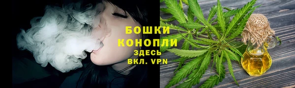 крисы Богданович