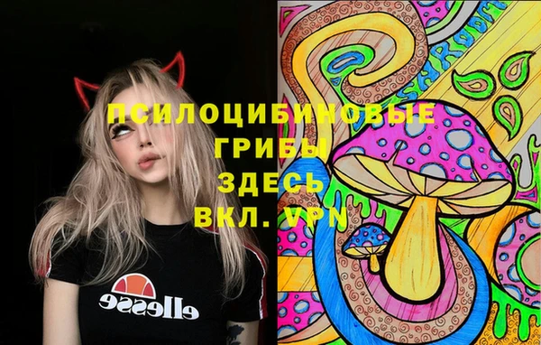 крисы Богданович