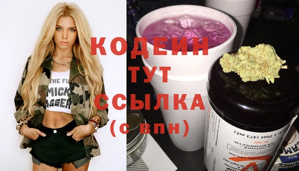 прущие крисы Ельня