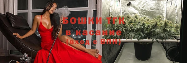 крисы Богданович