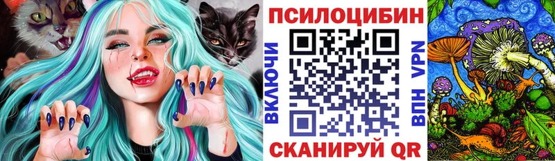 нарко площадка Telegram  Чернушка  Псилоцибиновые грибы Psilocybine cubensis 