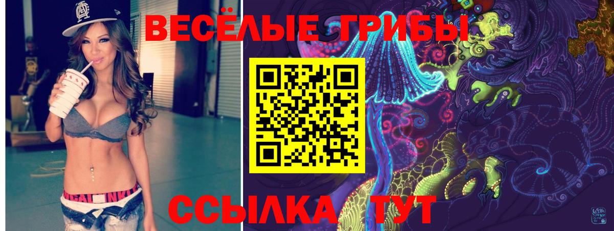 Галлюциногенные грибы ЛСД  Псилоцибиновые грибы ЛСД  Вход с VPN  Чернушка 