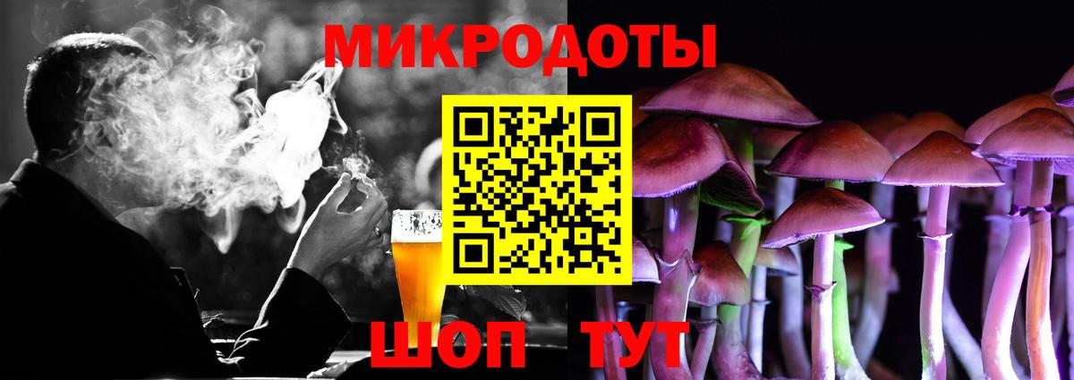 Псилоцибиновые грибы GOLDEN TEACHER Чернушка